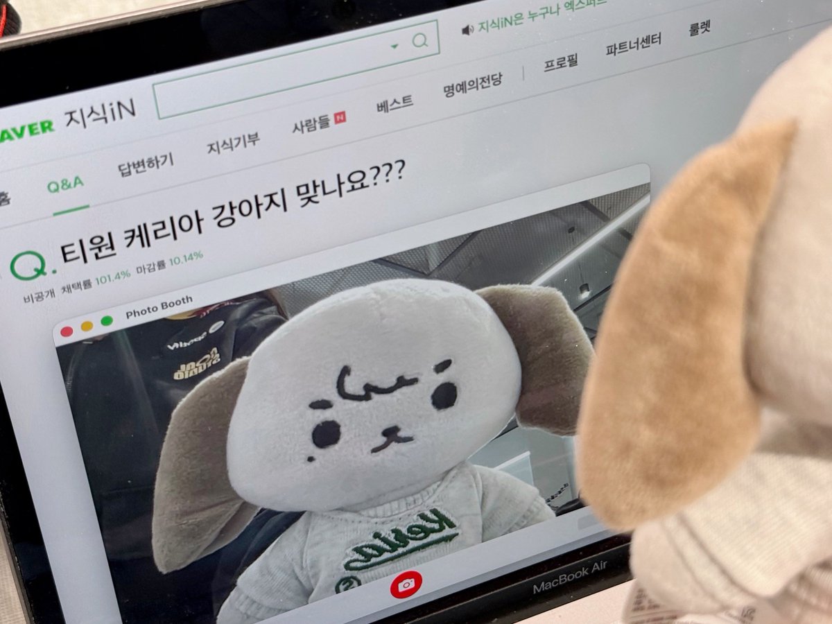 코이 tweet media