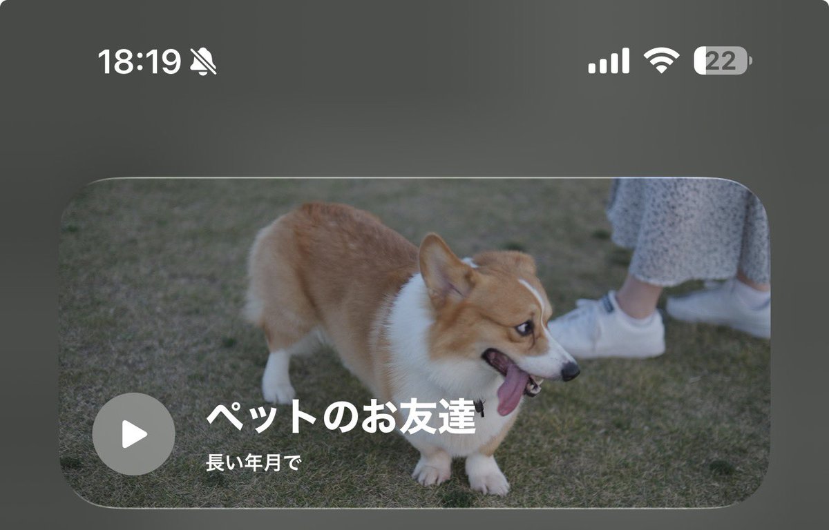 真夏の夜のイッヌ (@ahoinnu) / Posts / X