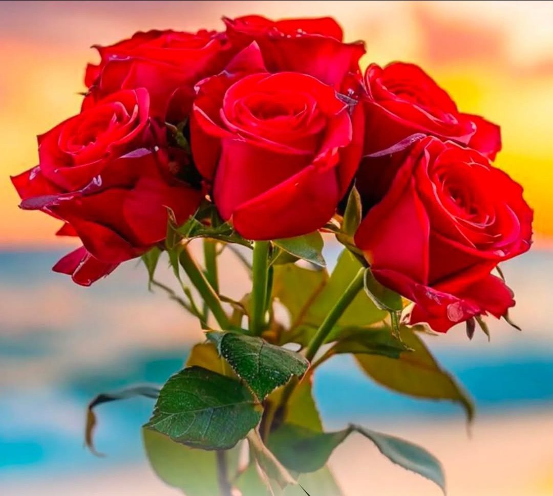 YouthPower_16's tweet photo. Rose.. पर नहीं..

रोजगार पर ध्यान दो मेरै भाई..

ये Rose लेने वाली भी रोजगार देखती है।
#gujri_yaadein
#RoseDay2026 https://t.co/t6xEh3iaUw