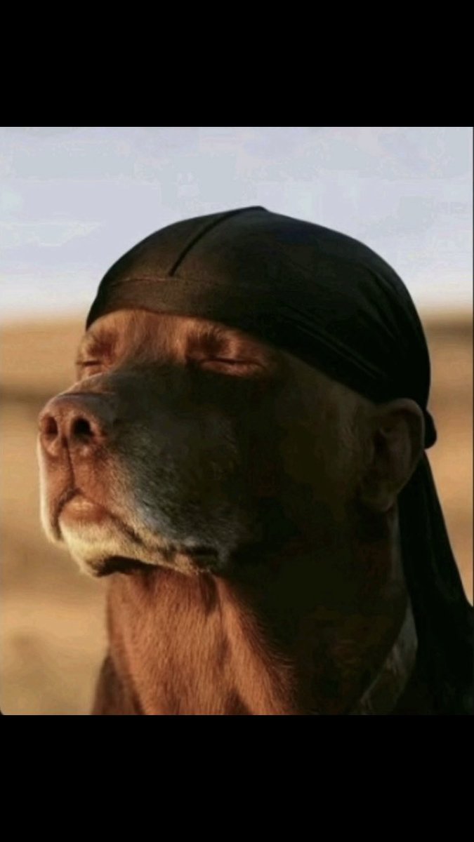 BeauCritique tweet media