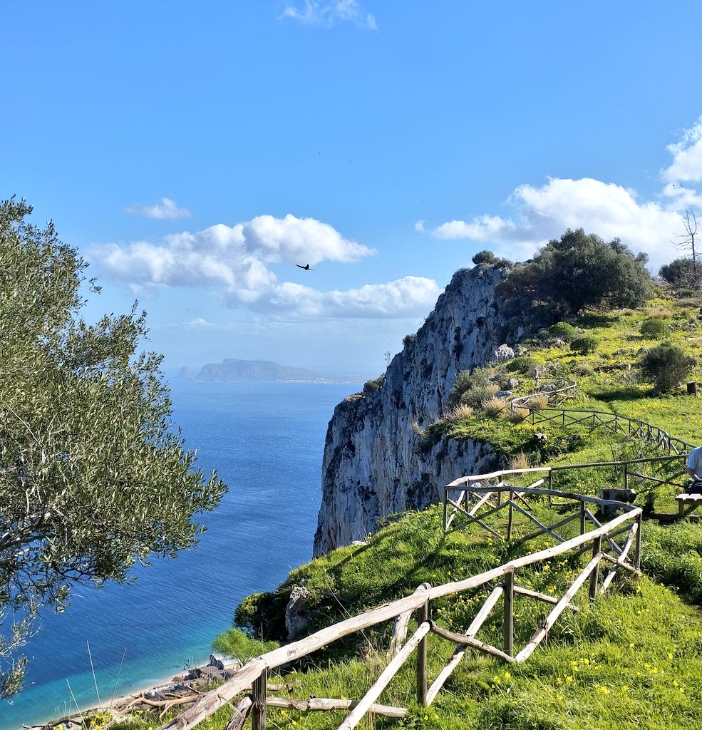 Jānis Zvērs tweet media