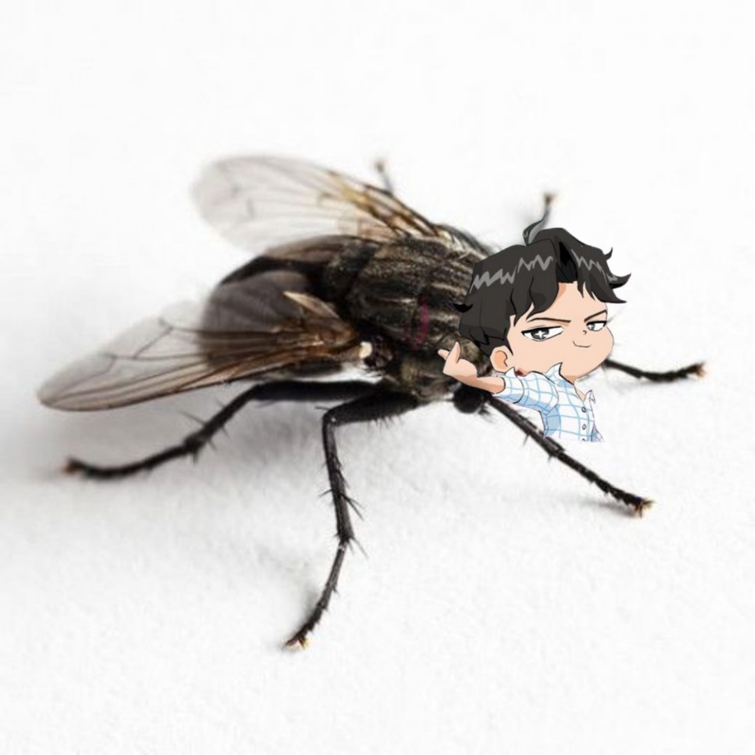 IncorrectRujinu tweet media