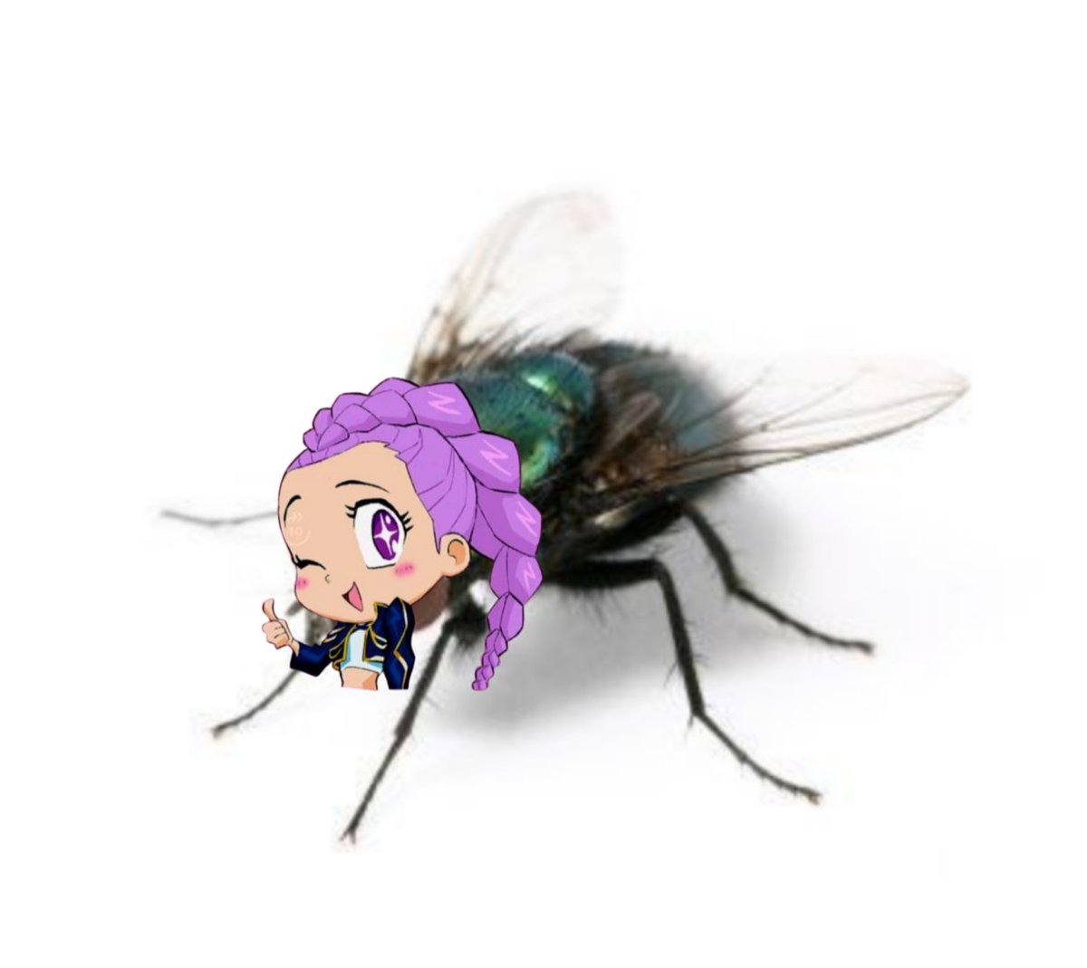 IncorrectRujinu tweet media