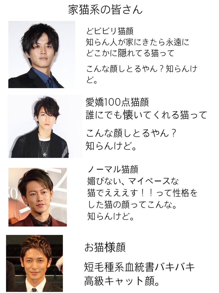 teihen_cha_n's tweet image. 猫顔は猫ってそんなに犬ほど見た目が変わらないから、色んな猫顔はないんだなと思いました。