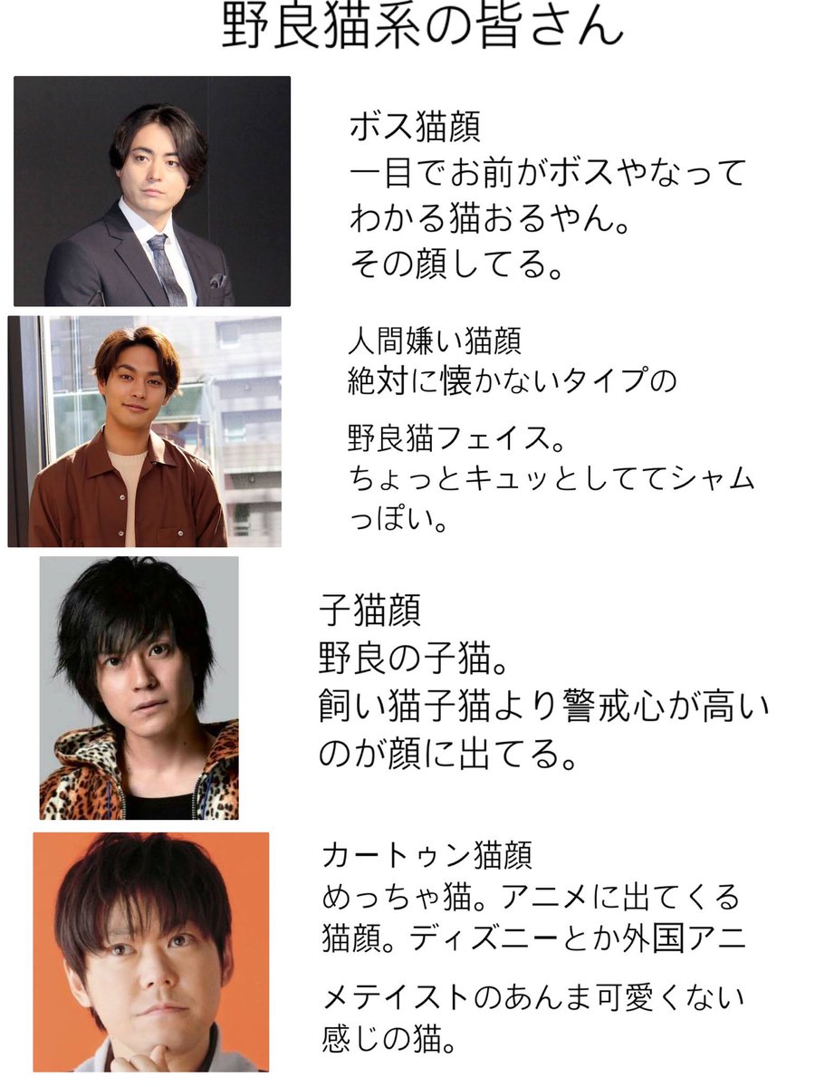 teihen_cha_n's tweet image. 猫顔は猫ってそんなに犬ほど見た目が変わらないから、色んな猫顔はないんだなと思いました。