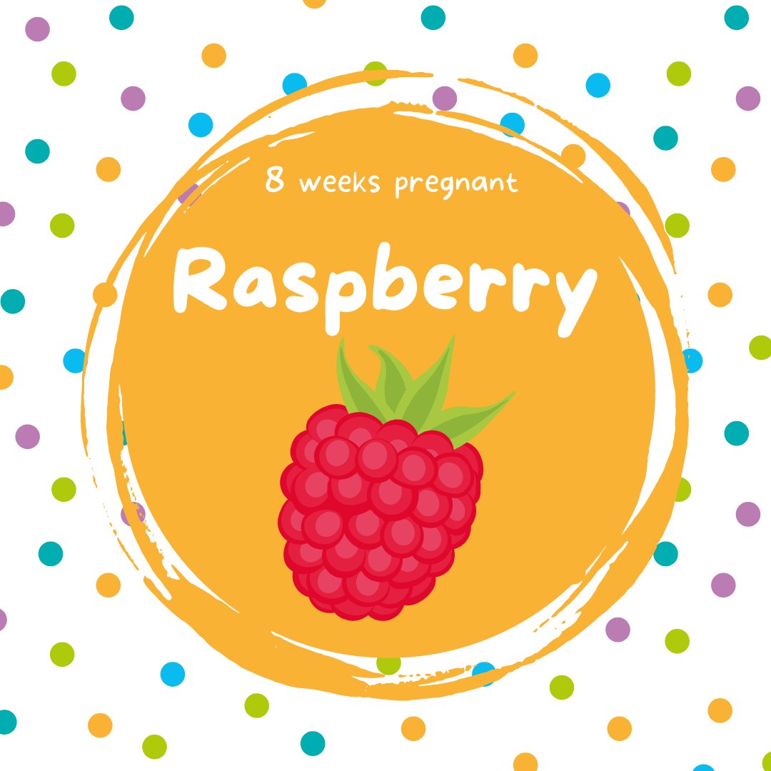 imaginatal's tweet image. Raspberry sized wonder!

At 8 weeks your baby is about the size of a raspberry!

They're growing fast, and those little fingers and toes are starting to form ✨

#imaginatal #privatescan #privatescanclinic #ultrasoundscan #8weeks #raspberry