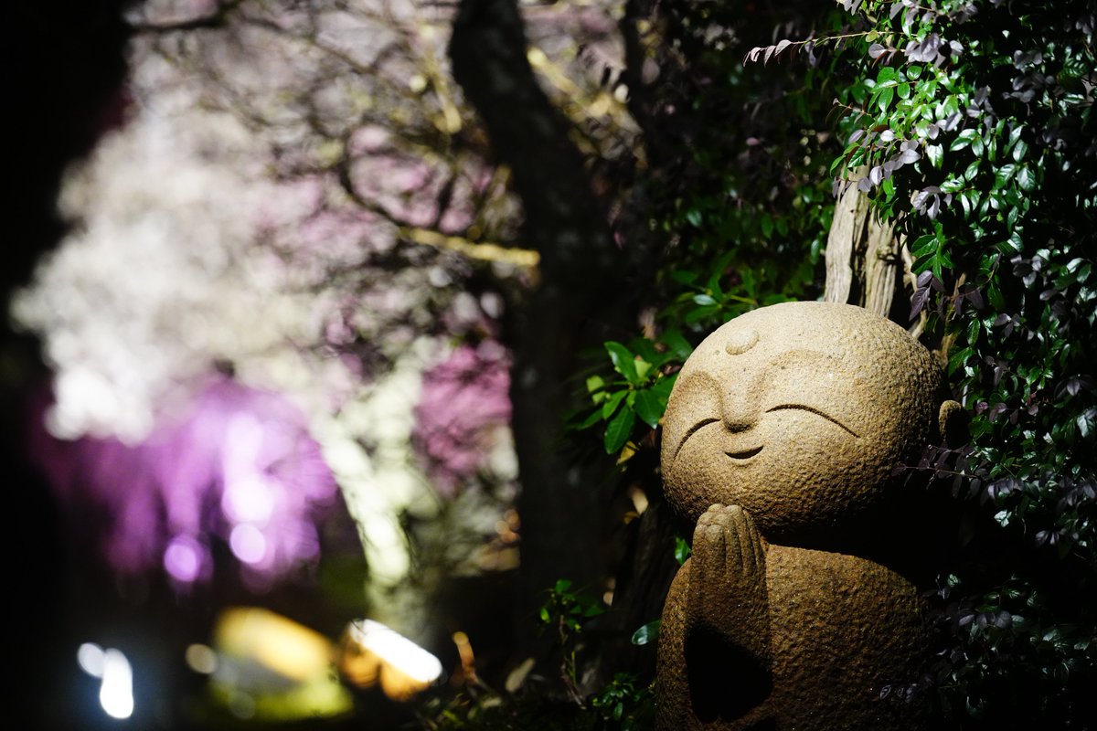 んなぁちゃん tweet media