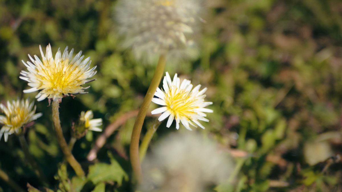 entrustthewaves's tweet image. また会えたら、何を話そう