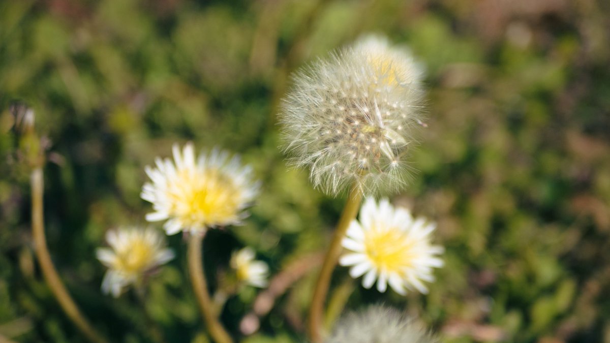 entrustthewaves's tweet image. また会えたら、何を話そう