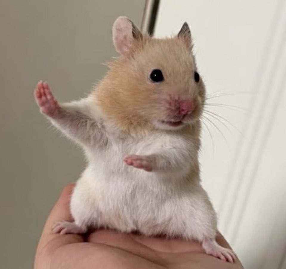 あぱる。と tweet media