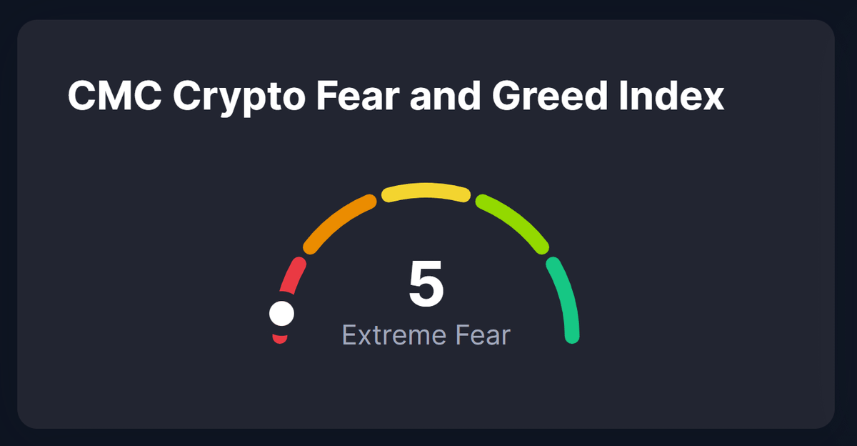 Rekt Fencer tweet media