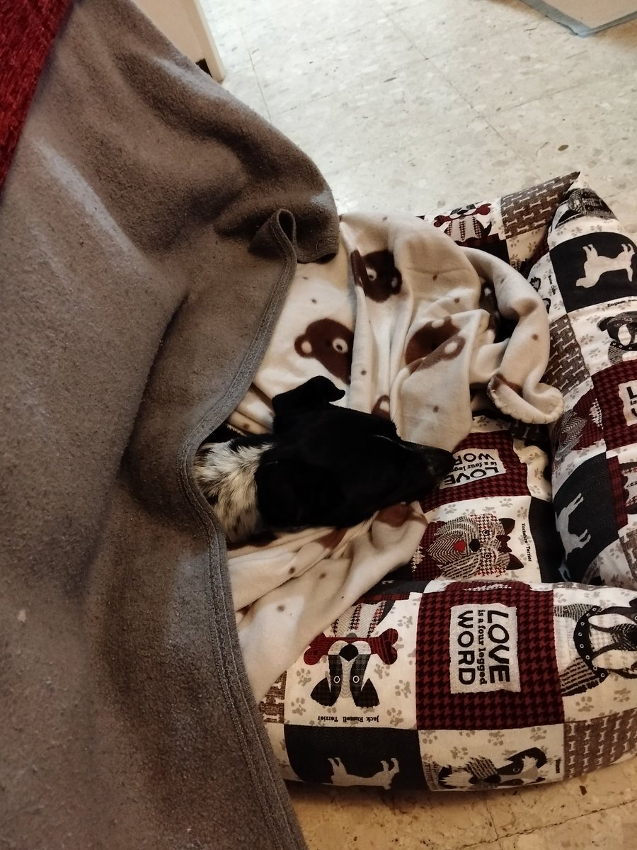 mi regalito lluvia 💝🌧️