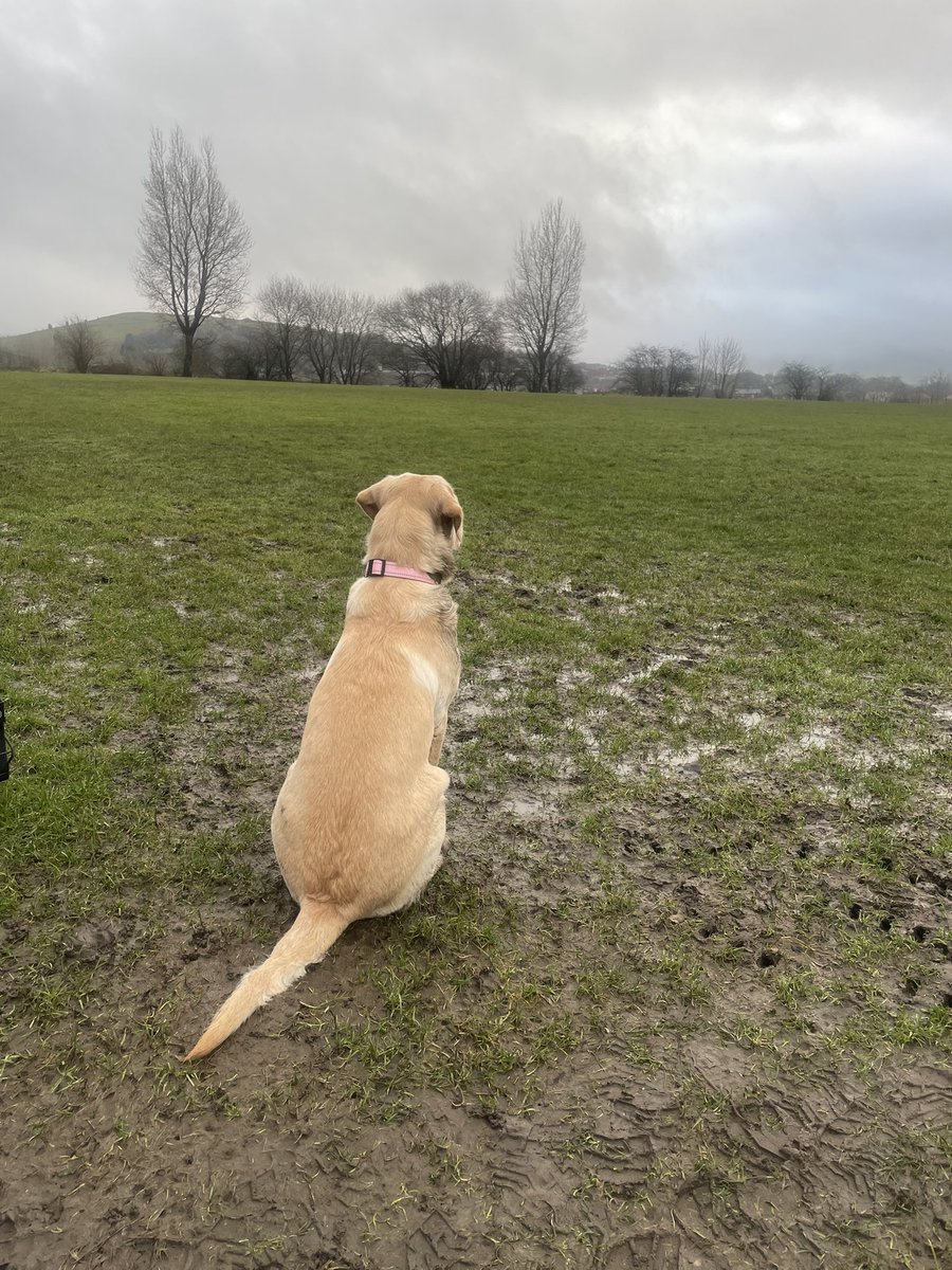 Wardle Football Club tweet media