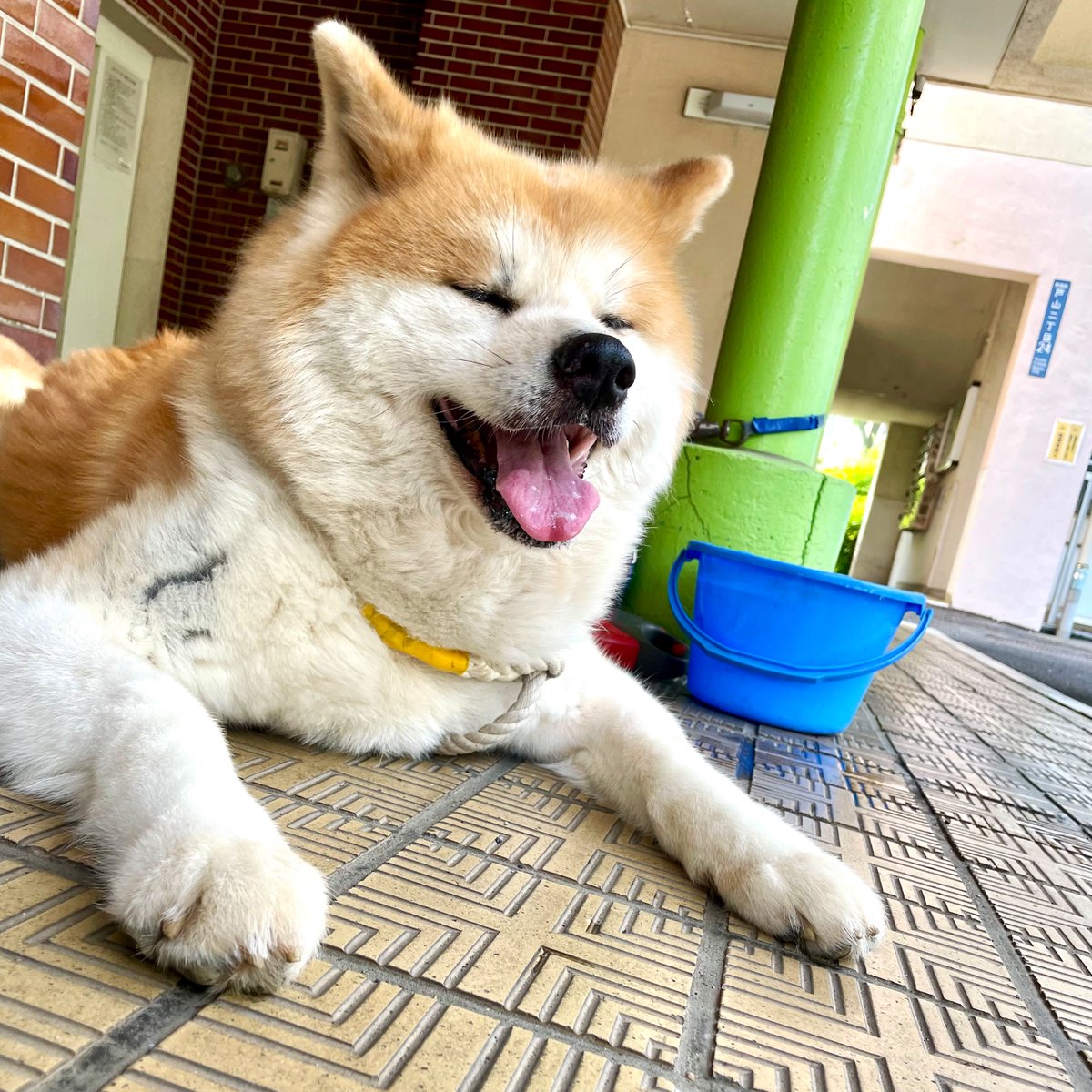 確 定 申 告 が 終 わ り ま し た