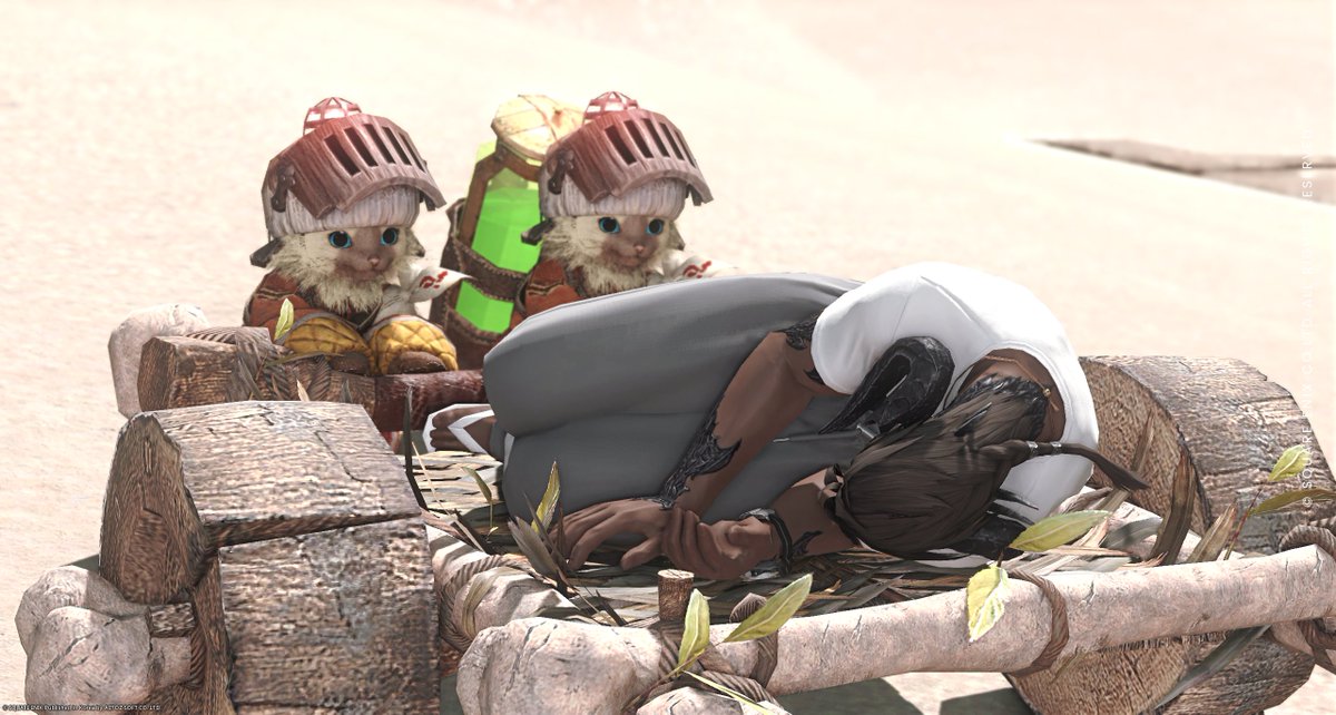 FF14_0816's tweet photo. [18:33]퍼 님이 야옹수레 뿔피리를 손에 넣었습니다. https://t.co/kvQZ7jJqpW