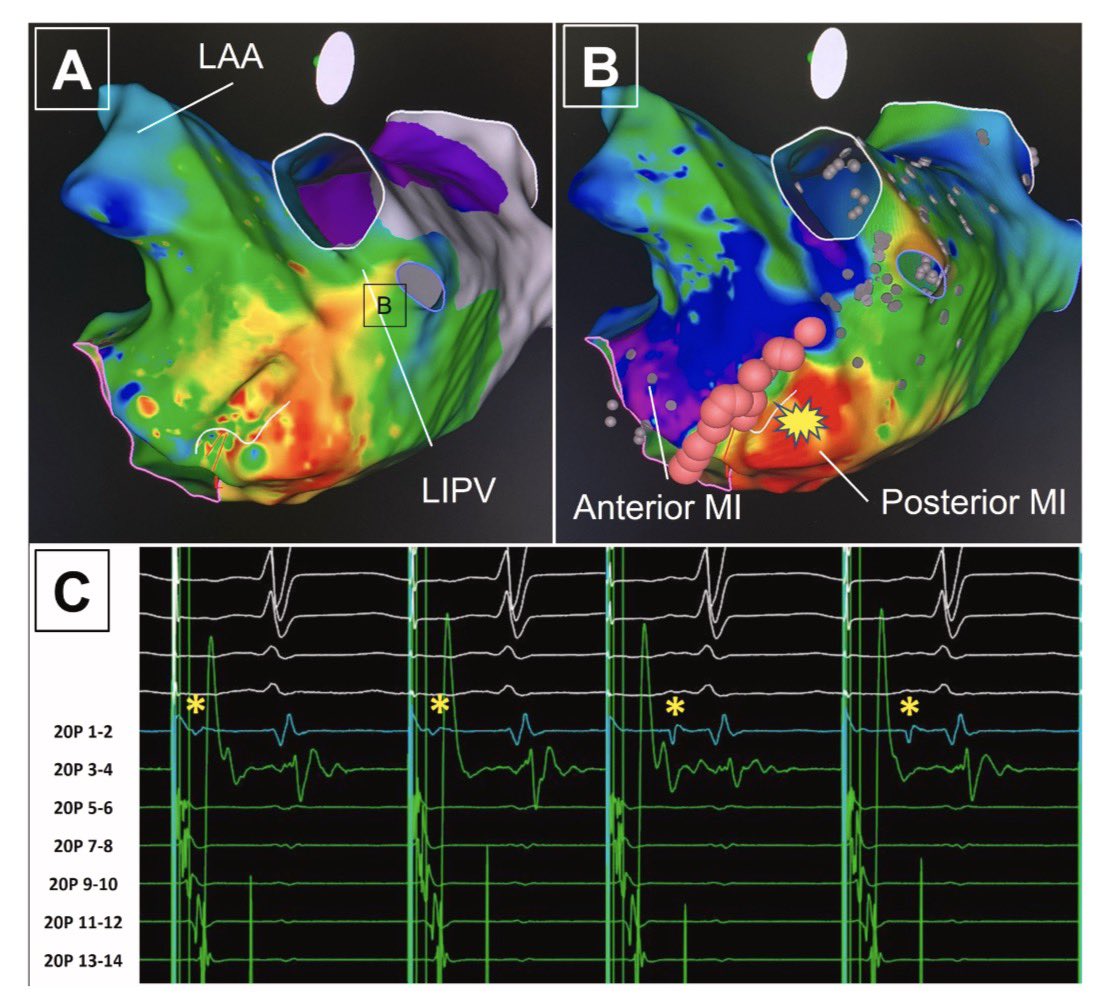 Adolfo Fontenla tweet media