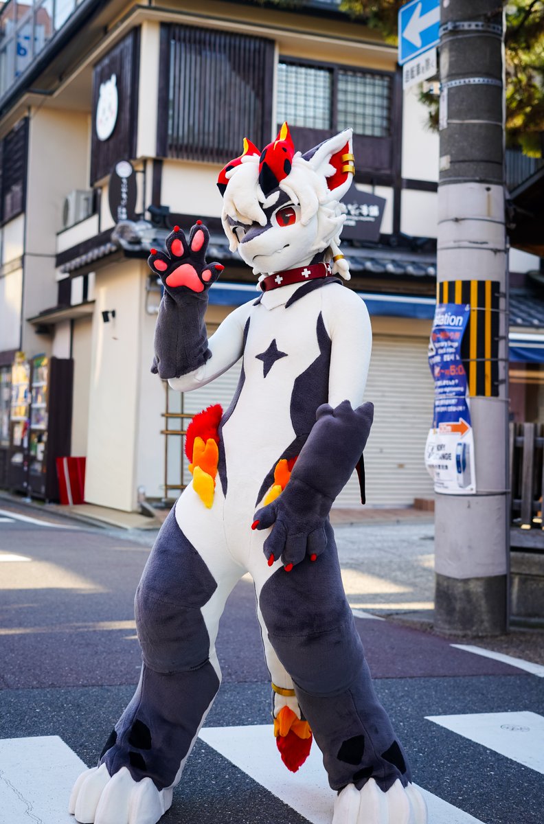 Inu (零犬) tweet media