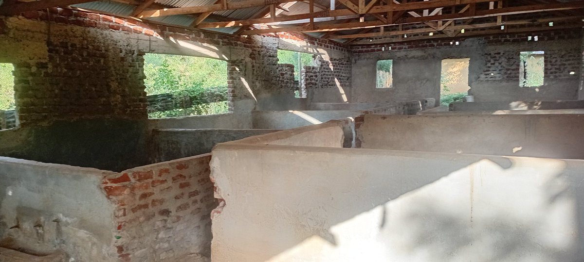 Milky way tweet media