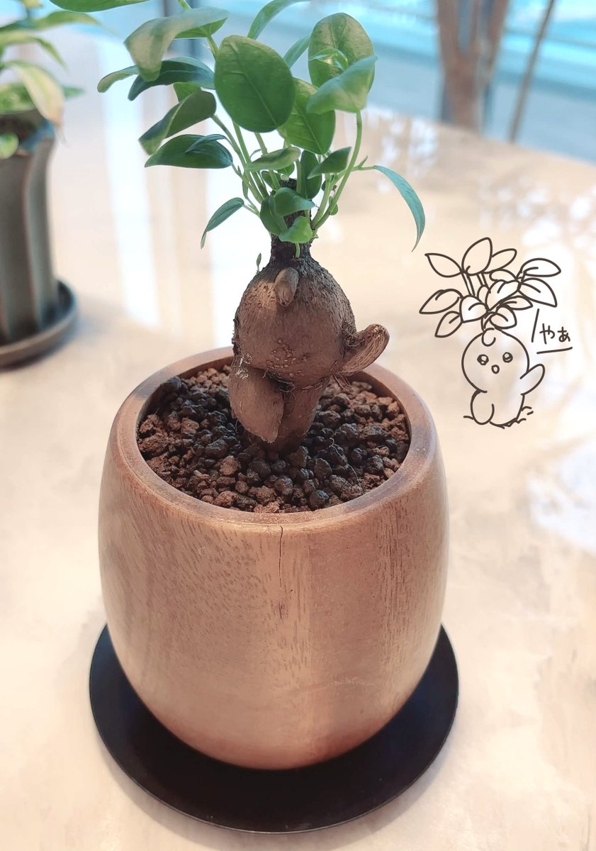 ももこ (@momoco_haru) / Posts / X