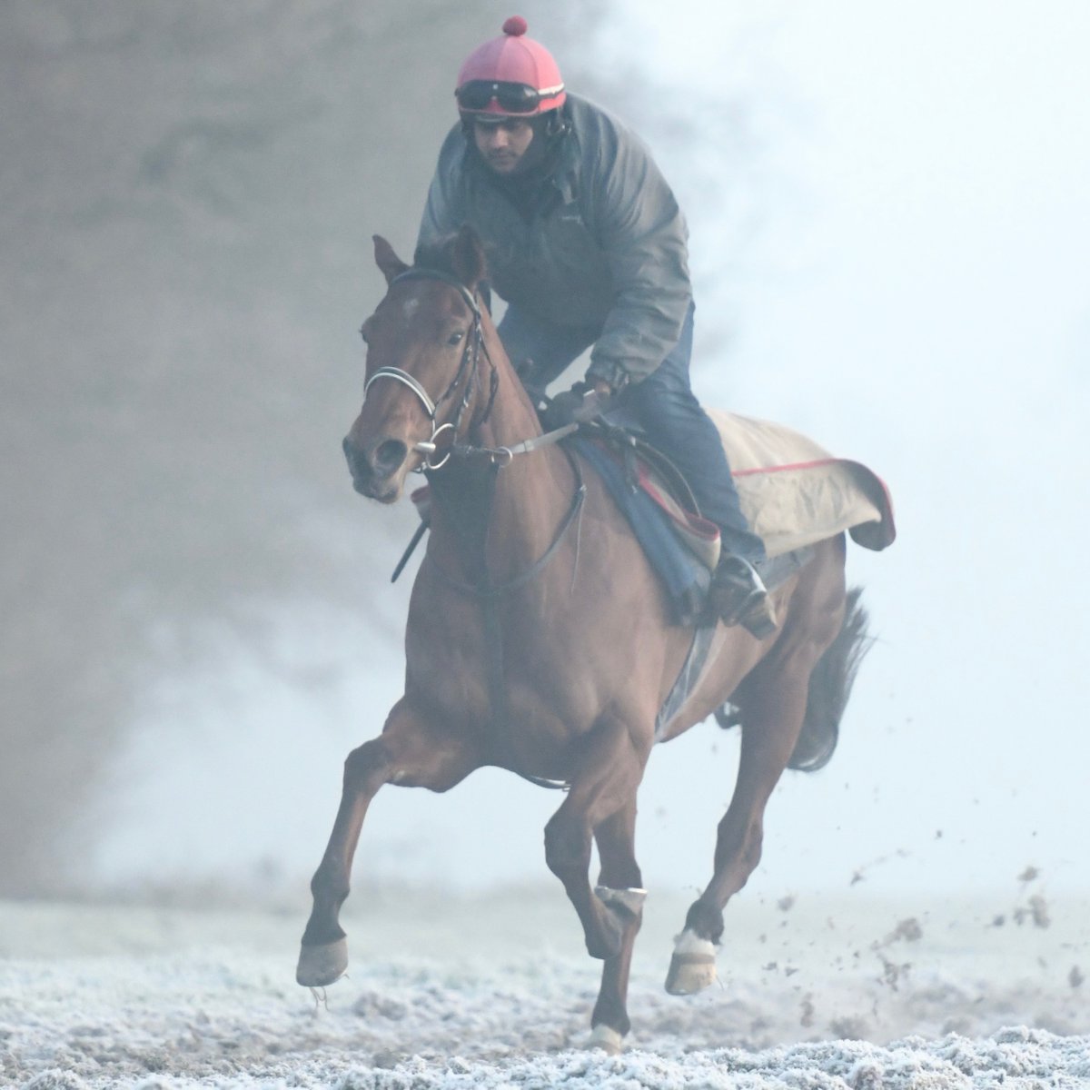 olivercoleracing tweet media