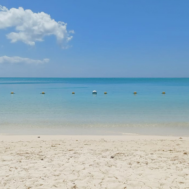ShutterVista's tweet image. 🌴 Sun, sand, and serenity at Mont Choisy Beach, Mauritius! 🏖️ Crystal-clear waters, soft white sand, and sunsets that steal your breath. Perfect spot to unwind or snap that perfect photo. 🌅✨ #MontChoisy #MauritiusTravel #BeachVibes