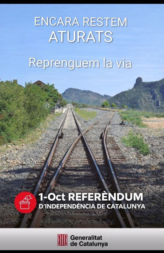 Secundí Mollà ||*|| tweet media
