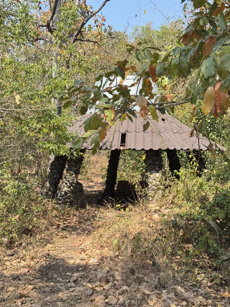 มวยโค้ก tweet media