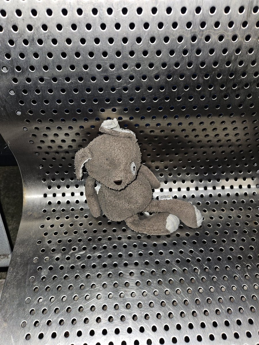 coffeyfergal's tweet photo. A well loved teddy left at plane parking bus stop @EDI_Airport. We will drop it off at lost property in the terminal. https://t.co/E5mX3KO0rW