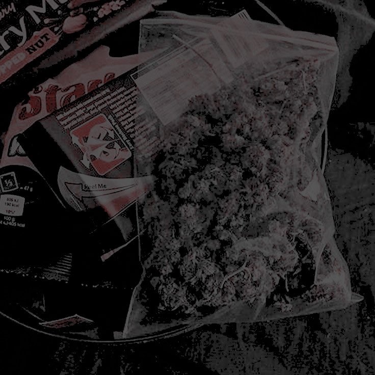 ‎ ‎‎‎ ‎ ‎ ‎ ‎‎ ‎‎ 𝙼𝙰𝚂𝚃𝙴𝚁 𝙾𝙵 𝙿𝚄𝙿𝙿𝙴𝚃𝚂 tweet media