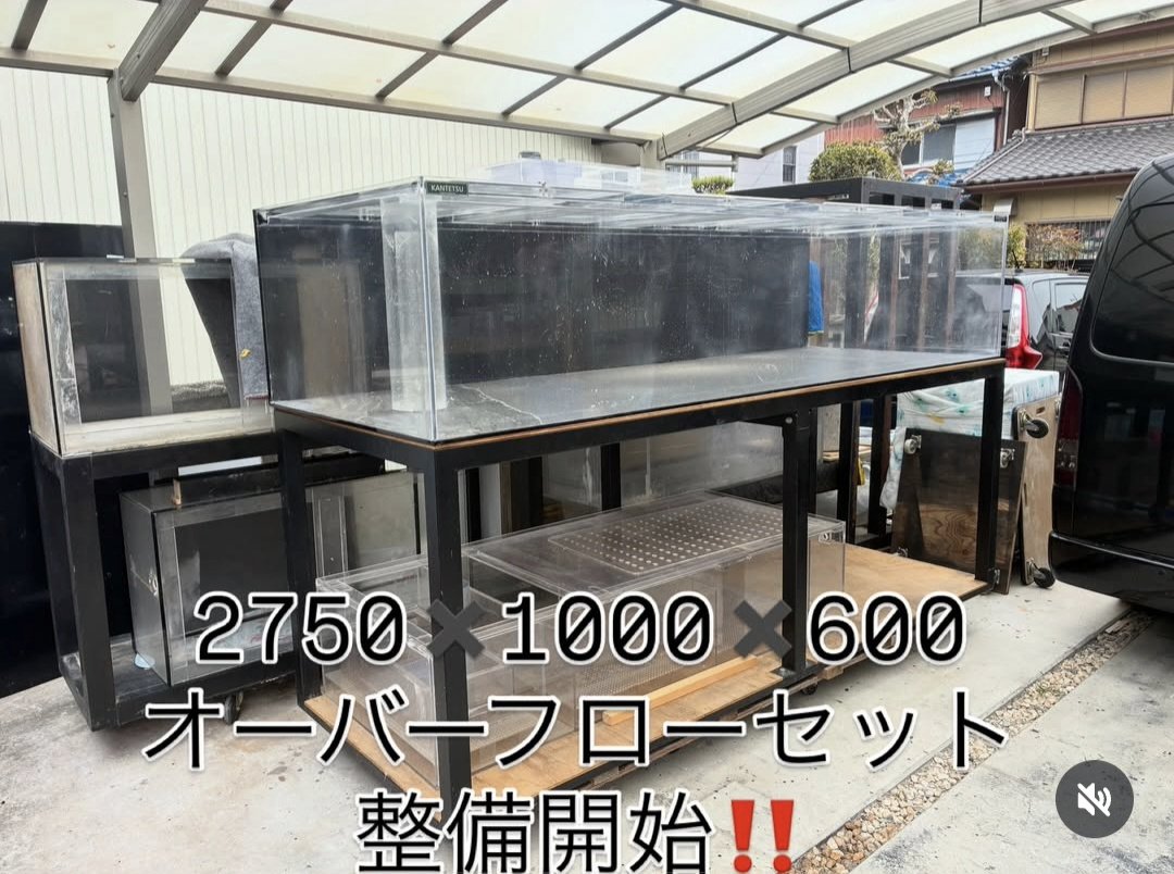 大型水槽 2750×1000×600の大型水槽‼️ カンテツ制の物になります‼️ここまで