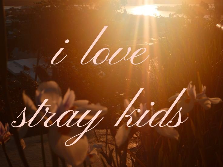 Eirlis🌨️❄️ tweet media