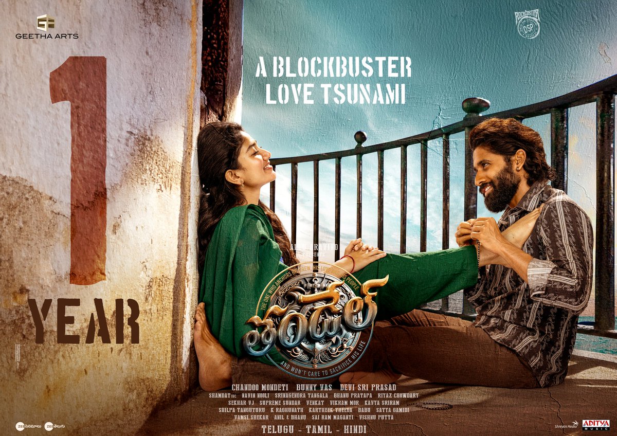 Bunny Vas tweet media