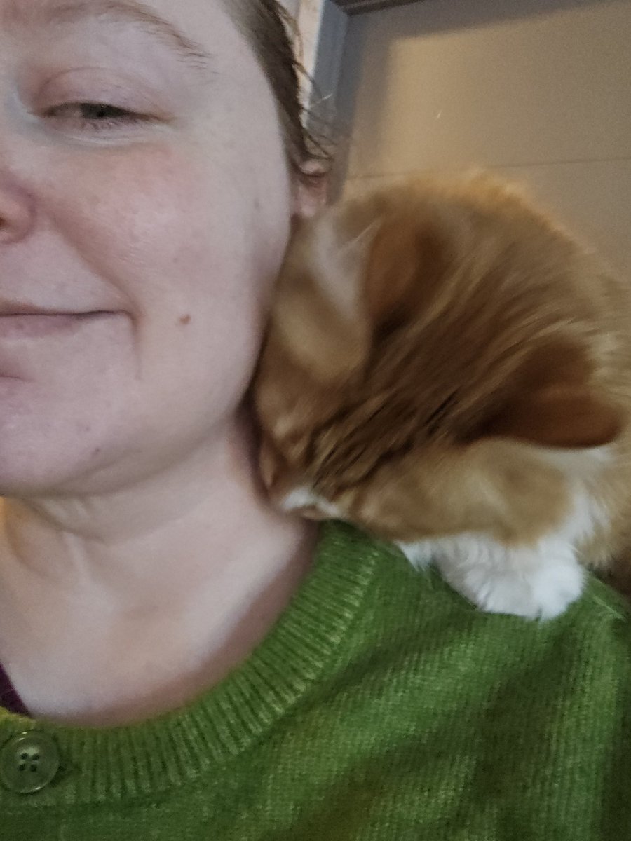 Copper (like the metal) tweet media