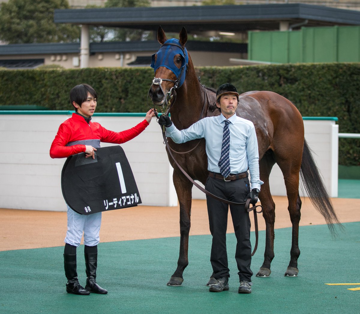 ami3161's tweet image. リーティアコナル号、小崎綾也騎手、
本当に本当におめでとうございます！！！

3と1/2馬身差の圧勝でした😭😭😭
大好きなコンビの大切な2勝目が小倉の特別戦であることも本当に嬉しいです🏆✨

ずっとずっと大好きです❤🩶❤