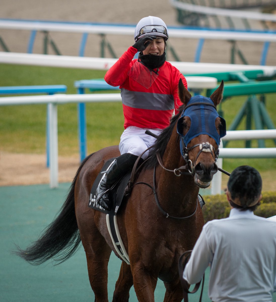 ami3161's tweet image. リーティアコナル号、小崎綾也騎手、
本当に本当におめでとうございます！！！

3と1/2馬身差の圧勝でした😭😭😭
大好きなコンビの大切な2勝目が小倉の特別戦であることも本当に嬉しいです🏆✨

ずっとずっと大好きです❤🩶❤