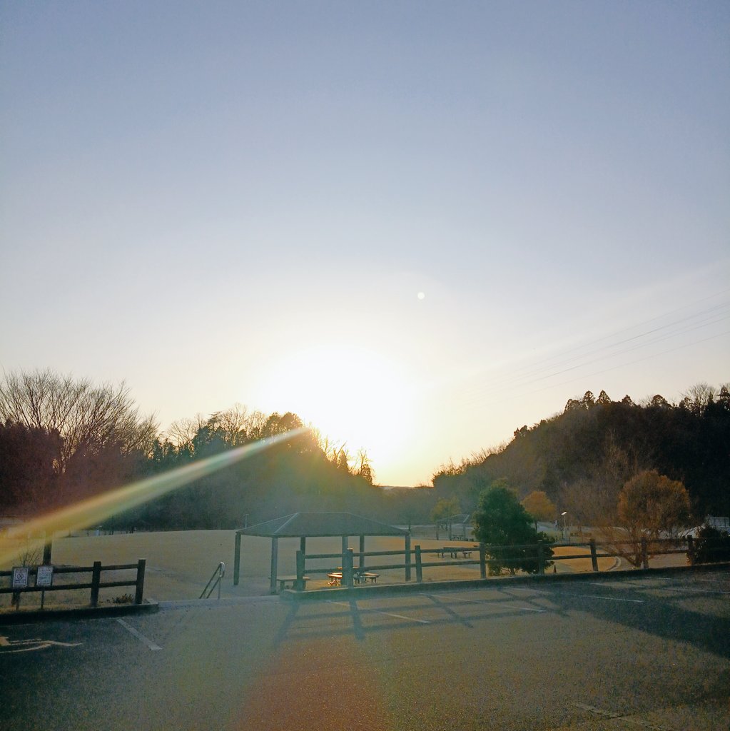 こんにちは😄

昨日『河津桜』が咲く公園から

見た 夕陽 とっても綺麗でした🌺
