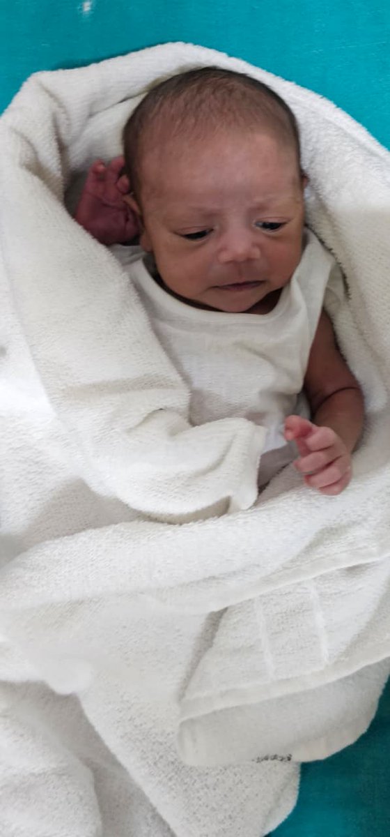 Directorate of Health Services tweet media