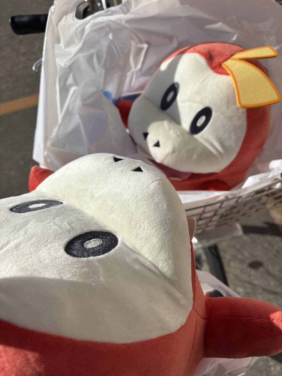 hoge_suki's tweet photo. とったどー！！！！！
持ち帰る時にほげちゃんにいろんな景色を見せてあげられる��が楽しかった！！ https://t.co/bWMsrX0IZb