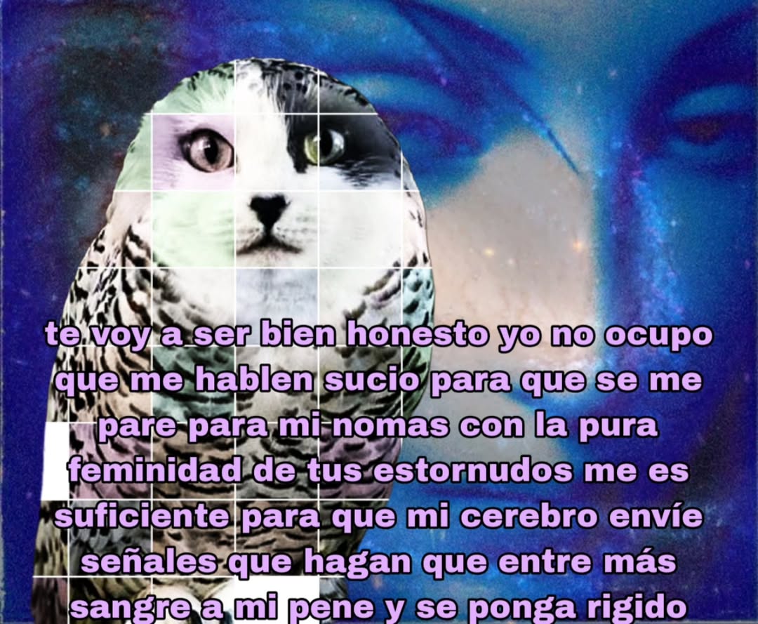 Mega atún (@abellcymeg) on Twitter photo 