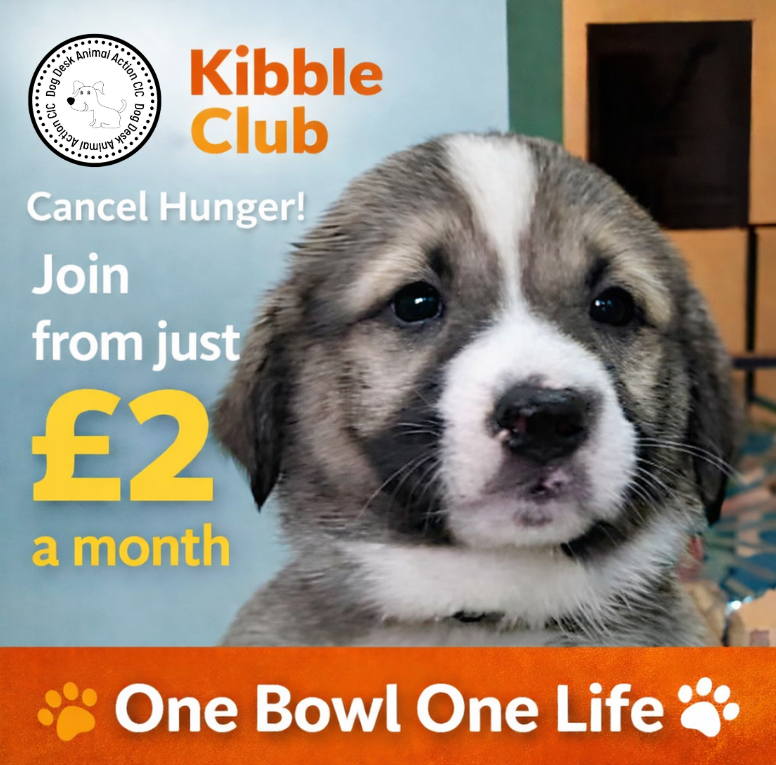 DogDeskAction's tweet image. We’re urgently looking for 171 people to join Kibble Club and help keep our operations running. 🐾🍽️

You can join from just £2 a month💛🐶

👉 Join here donorbox.org/kibble-club 
👉  Or here   paypal.com/donate/?hosted…

#KibbleClub