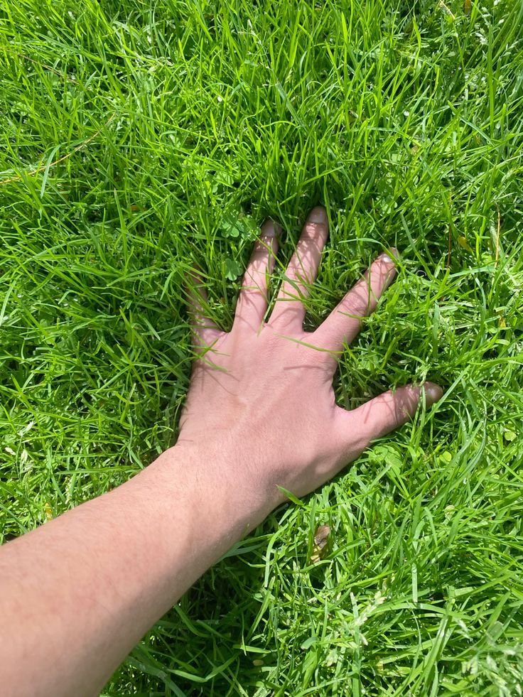 C_micda's tweet photo. GM 
😀 zoom out and touch some grass 
Have an awesome weekend https://t.co/uPcgB1yLF4