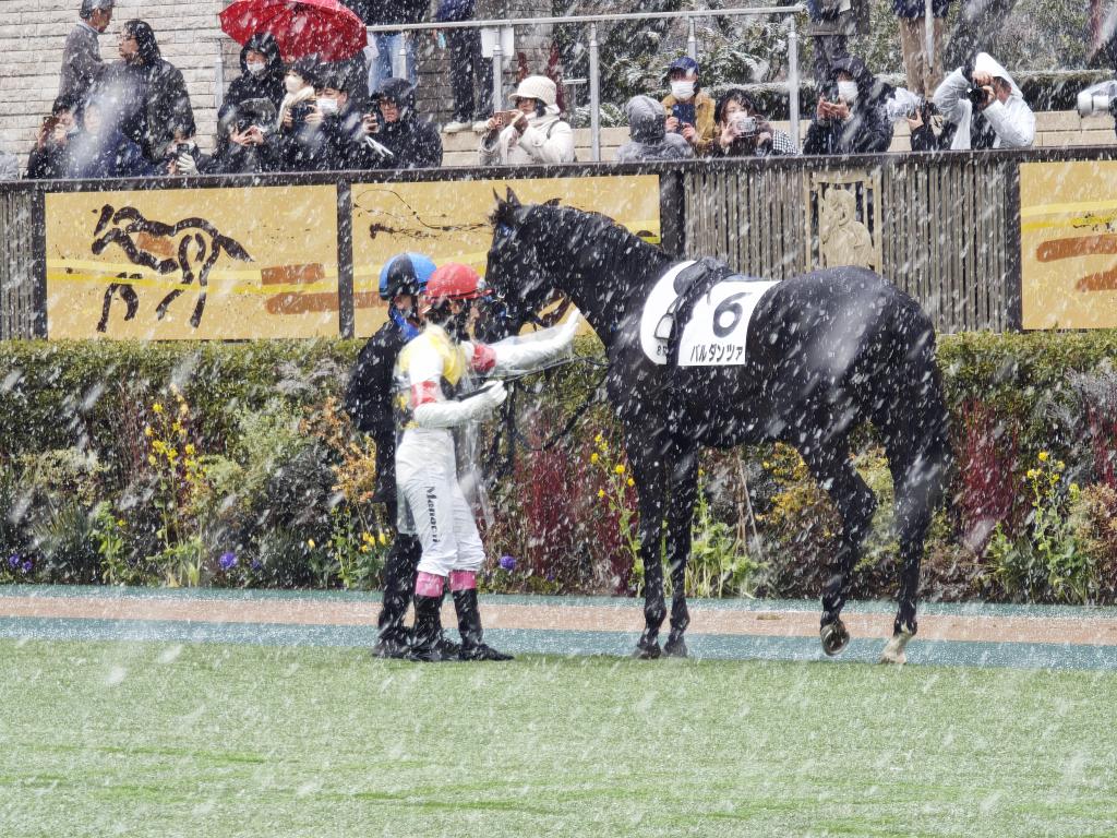 マジカルシルクハット狂 (@technobreakge) / Posts / X