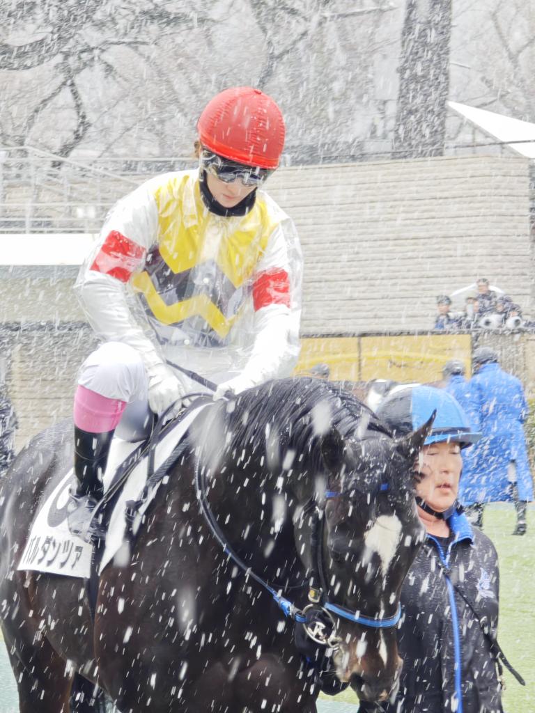 マジカルシルクハット狂 (@technobreakge) / Posts / X