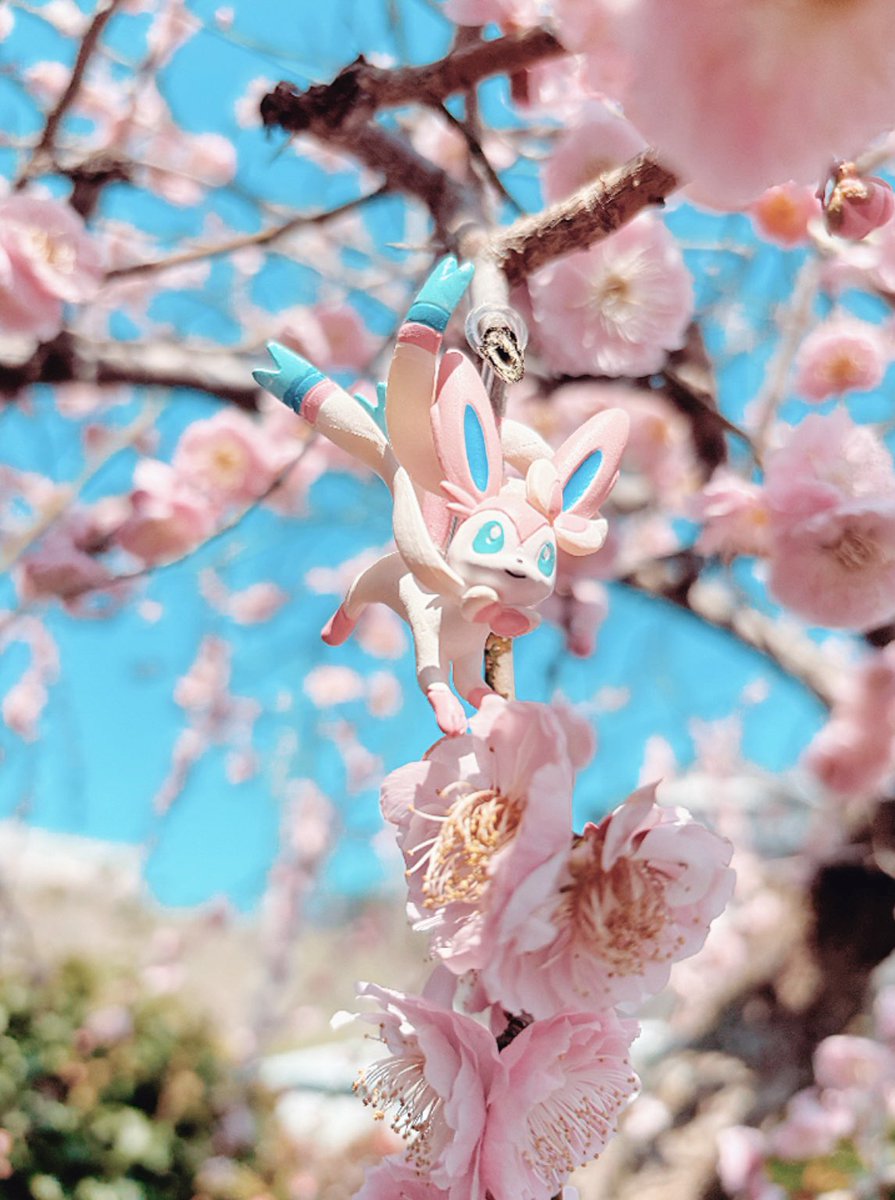 〜🌸 ˖ . ݁𝜗𝜚. ݁₊