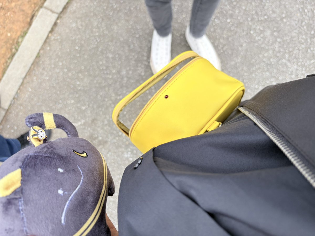 バステトちゃんをポーチに帰そうとしたらレディバグが