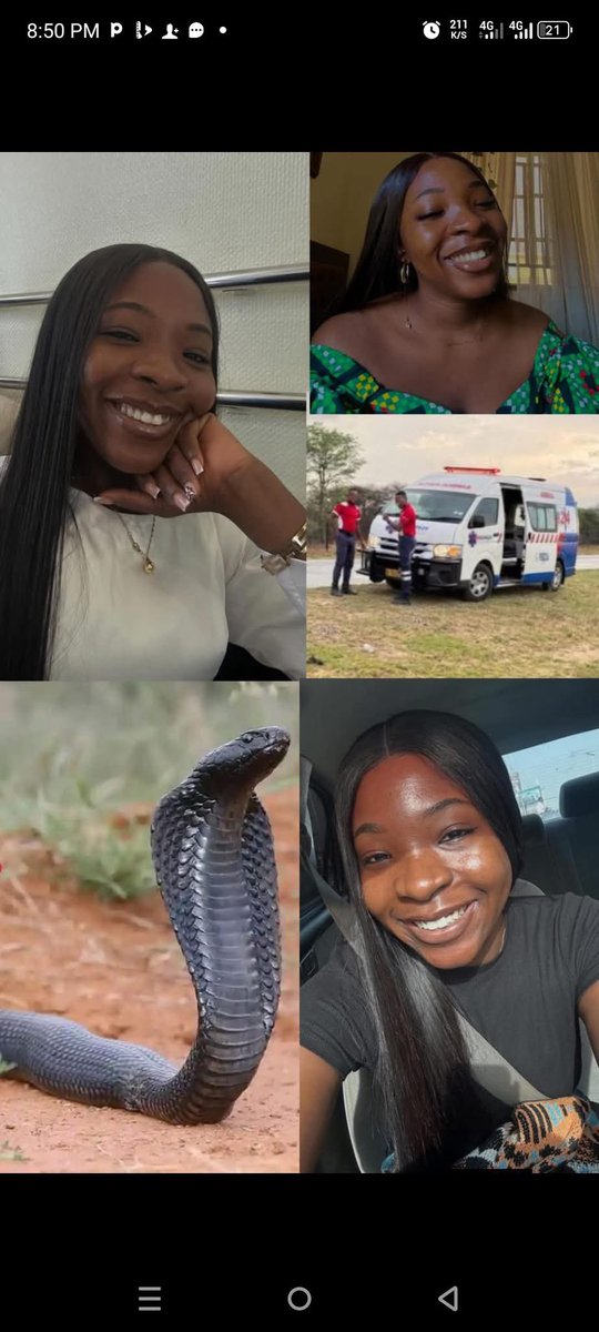 A Toxicologist that operates a snake farm which harbours 4,700,000 snakes in Nasarawa State was in Brekete Family Radio this morning.

He provided the following information on the things that attract snakes to the house are:

1) Egg shells can attract snakes 15 kilometers away.