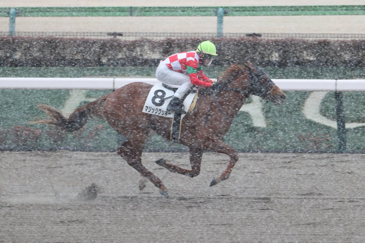 株式会社エクワインレーシング tweet media