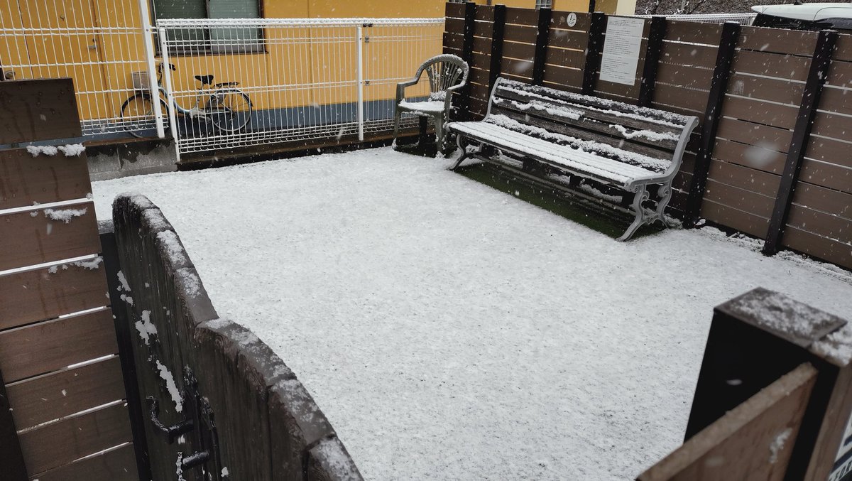 職場のミニミニドッグランは、白いなぁ。