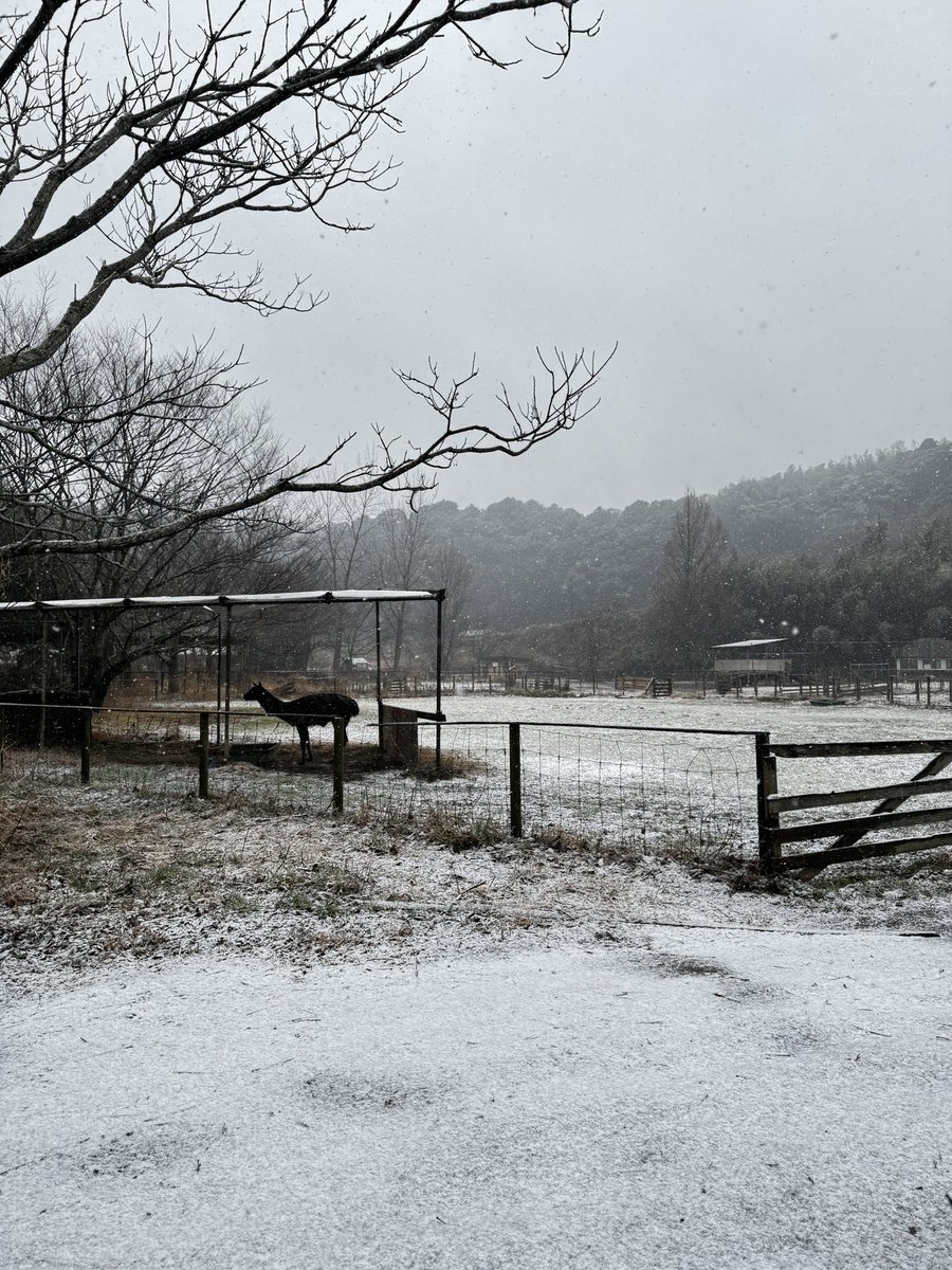 袖ケ浦ふれあいどうぶつ縁 tweet media