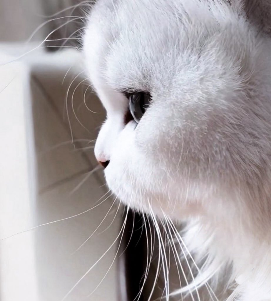 ᴋᴍ.✿ (@fallinkmm) on Twitter photo 